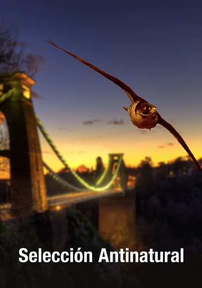 Selección antinatural (Doblado)