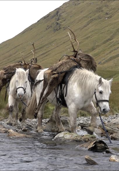 Póster de S01:E17 - Hunting Red Stags in the Scottish Highlands With Kristoffer Clausen and Rachel Carrie