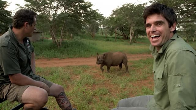 S02:E03 - Blood Rhino