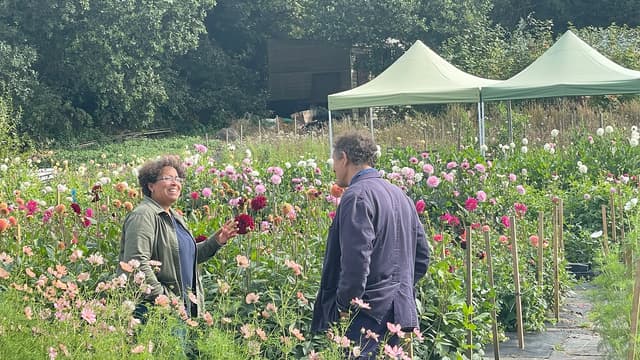 S01:E03 - North Wales to Norfolk