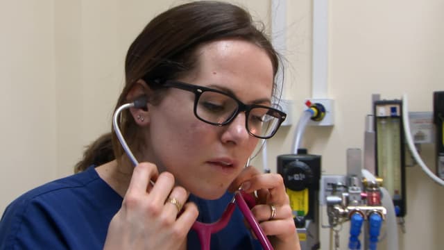 S01:E06 - Hepsie, Poppy Punctured Eye and Sadie Ear Dog