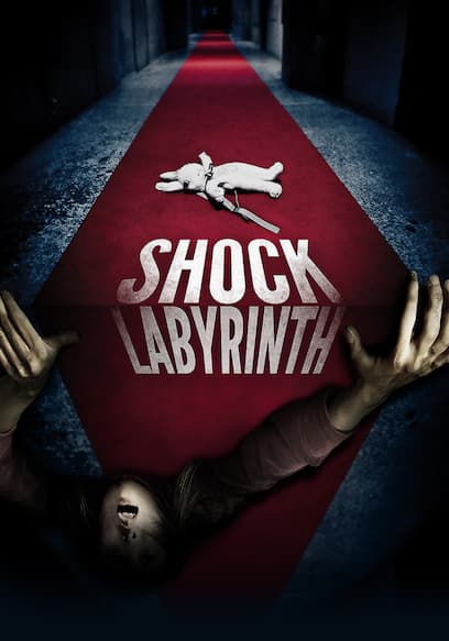 Shock Labyrinth