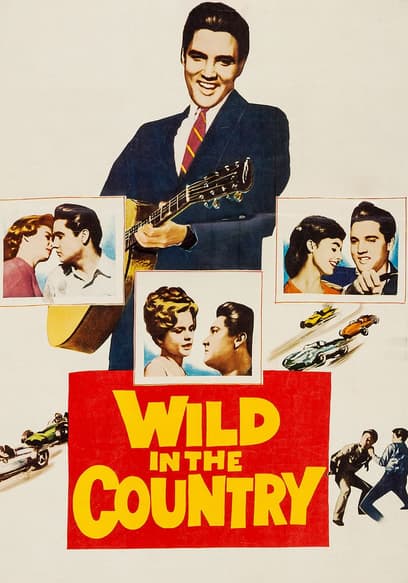 Wild in the Country poster