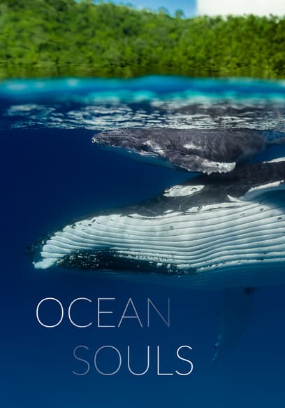 Ocean Souls