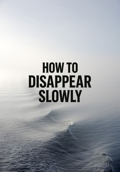 How to Disappear Slowly poster