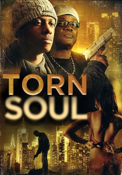 Torn Soul
