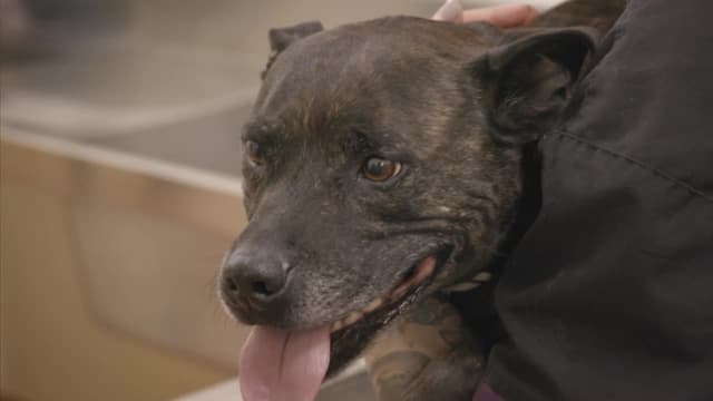 S01:E11 - Episode 11