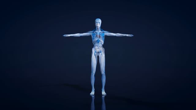 T01:C14 - S01:E14 - Born Again: Powering Our Bodies