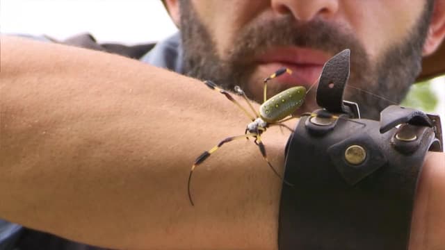 S03:E04 - Will It Bite?