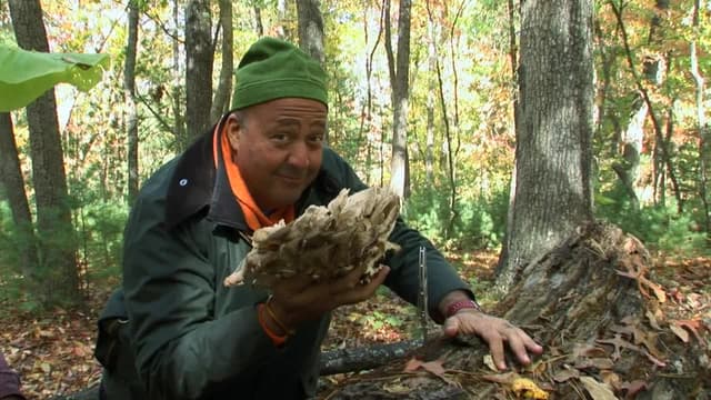 S02:E28 - Appalachia