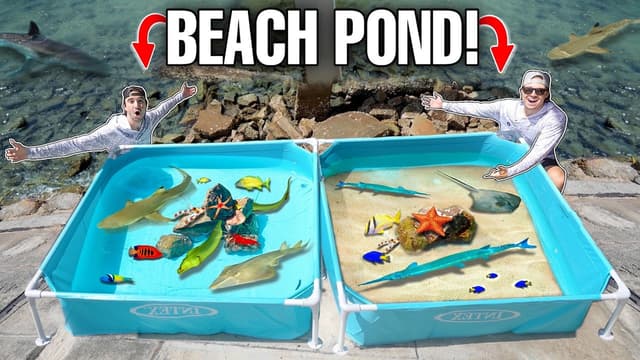 S01:E08 - Tide Pool Saltwater Ponds With Sea Creatures