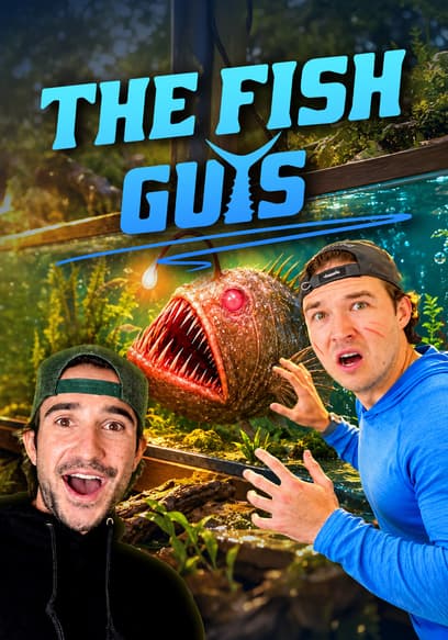 The Fish Guys poster