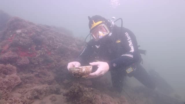 S01:E04 - USS Arizona (Pt. 2)