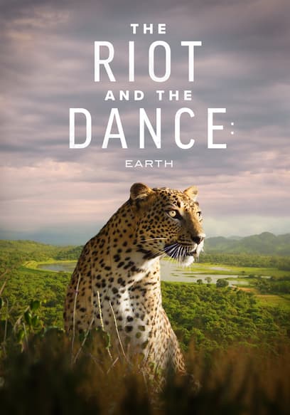 The Riot and the Dance: Earth poster