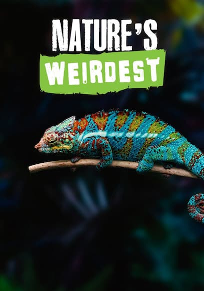 Nature's Weirdest