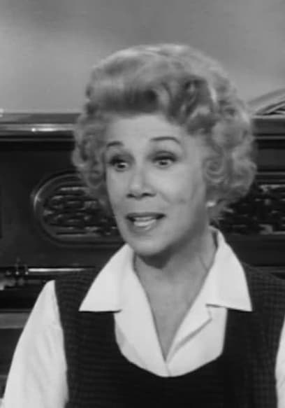 S01:E16 - Bobbie Jo and the Beatnik poster