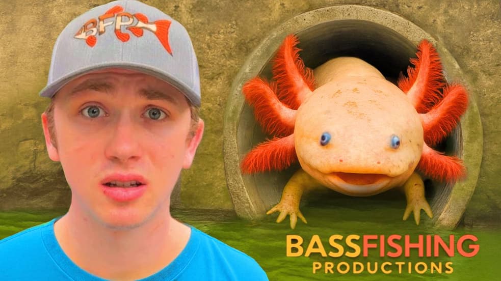 Watch Bass Fishing Productions Streaming Online | Tubi Free TV