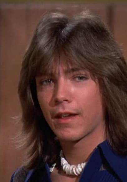 Watch The Partridge Family S03:E14 - Aspirin at Seven, Dinner at Eight ...