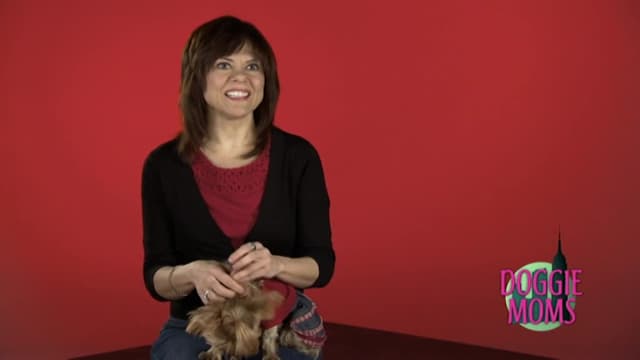 S01:E02 - Of Dogs and Men