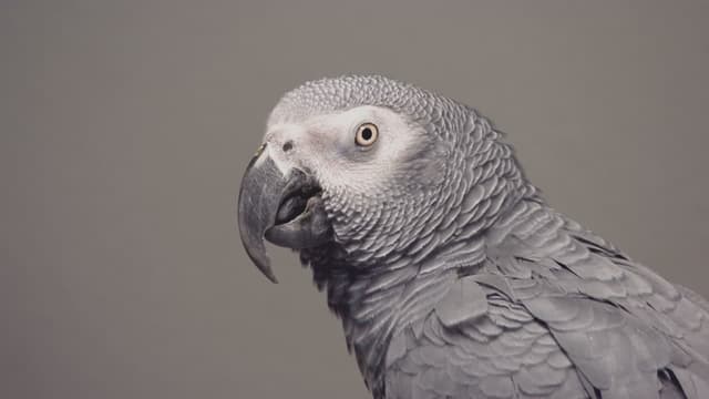 S03:E03 - A Long Way From Home