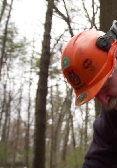 S16:E06 - Tree Removal, Garage Door Opener poster
