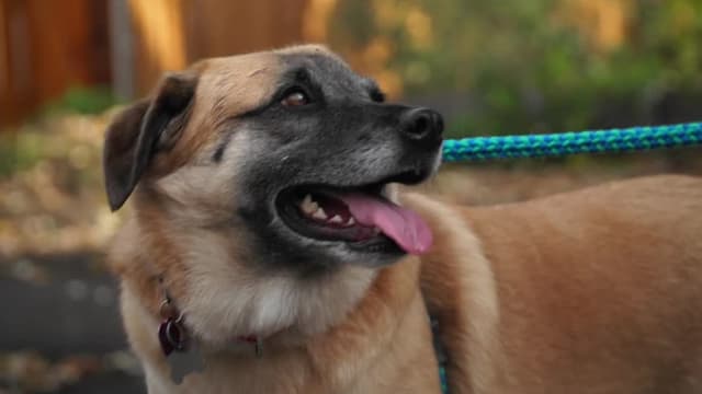 S01:E05 - Homeward Bound