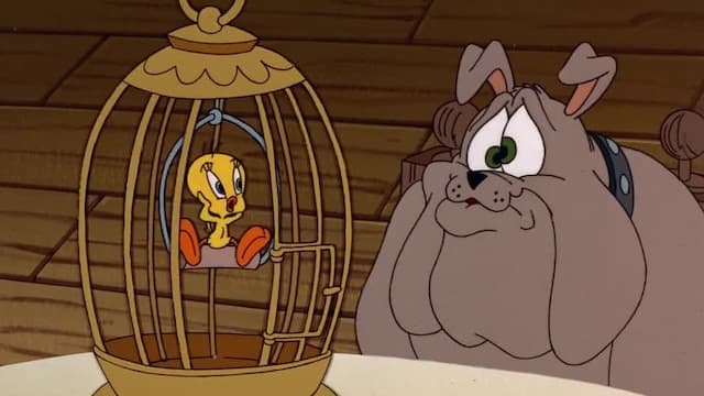 S02:E03 - Don't Polka Me/The Granny Vanishes