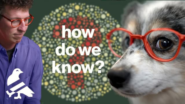 S01:E01 - Dog Vision Explained