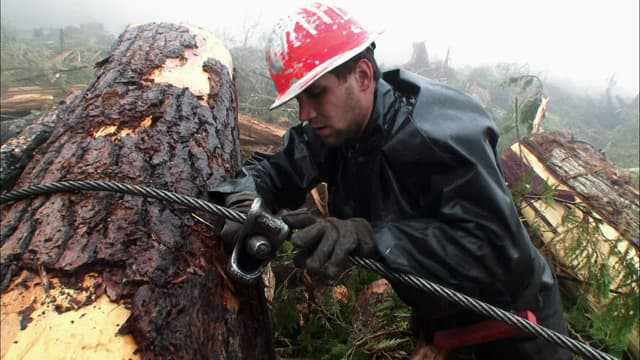 S05:E20 - The Ax Stops Here