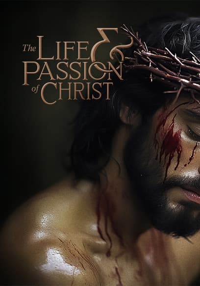 The Life & Passion of Christ
