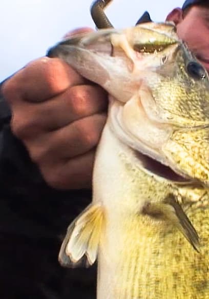S01:E20 - 500 Bass a Day Keeps the Stress Away: Lake Barrett poster