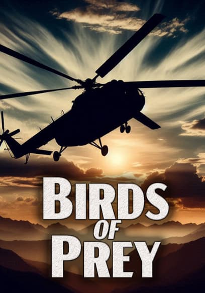 Birds of Prey