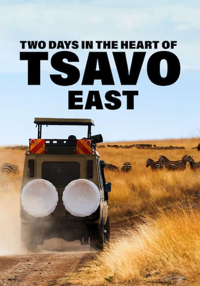 Two Days in the Heart of Tsavo East