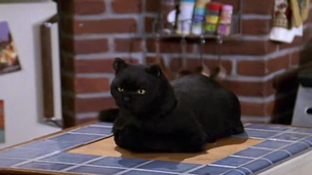 S04:E07 - Little Orphan Hilda