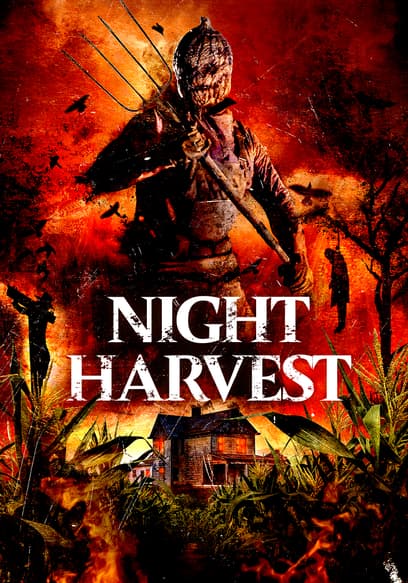 Night Harvest