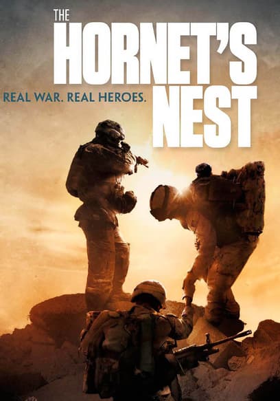 Hornet's Nest