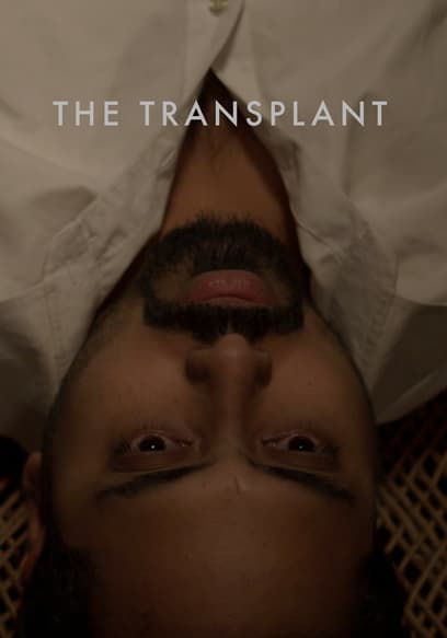The Transplant poster