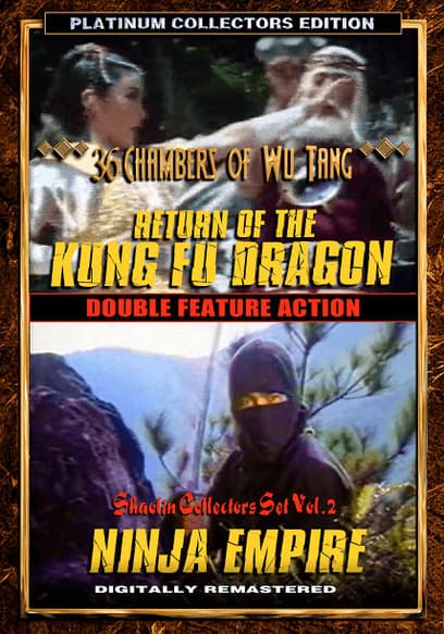 Return of the Kung Fu Dragon