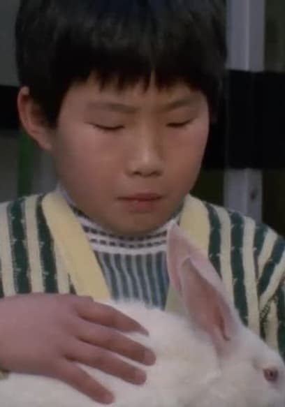 Watch Ultraman Taro S01:E46 - Ultraman Taro: S1 E46 - From a Japanese ...