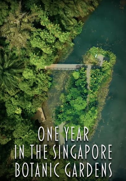 One Year in the Singapore Botanic Gardens