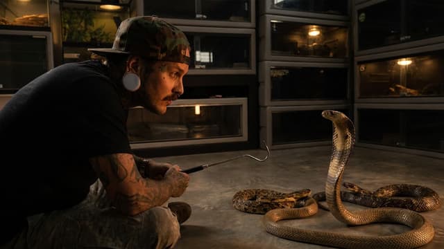 S01:E06 - Planet's Deadliest Serpents