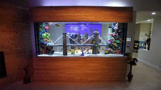 S09:E15 - Holiday Madness