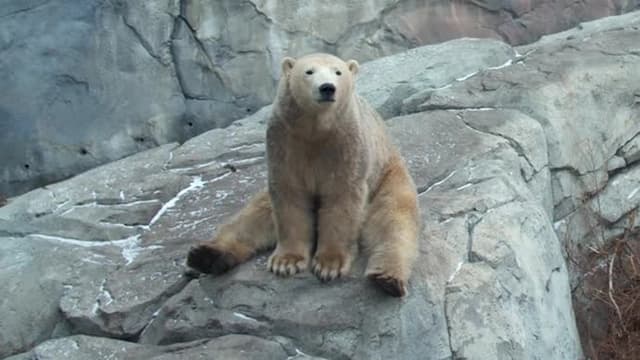 S01:E10 - Arctic Goodbyes