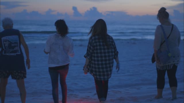 S01:E106 - Florida Is Jawesome