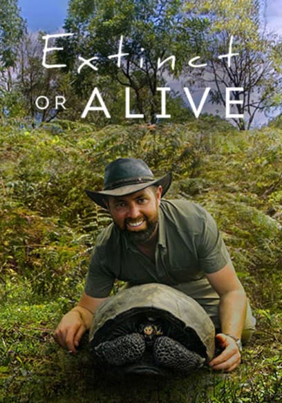 S01:E04 - Florida Black Panther