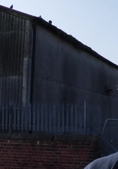S02:E20 - Flour Mill Dust poster