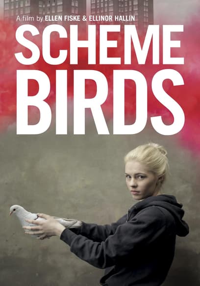 Scheme Birds