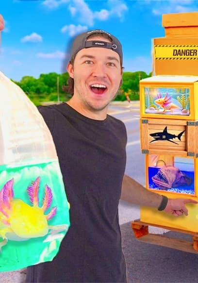 S01:E06 - I Bought Every Live Fish Mystery Box poster