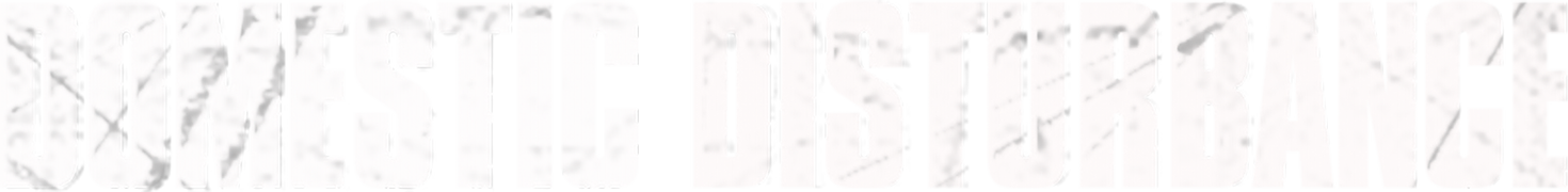 Domestic Disturbance