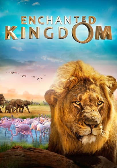 Enchanted Kingdom poster